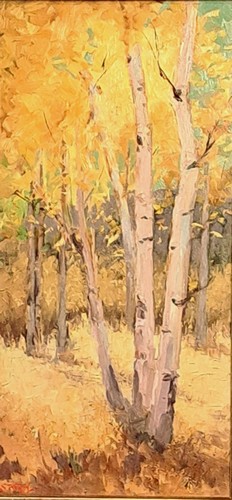 Quaking Aspens 20x10 $825 at Hunter Wolff Gallery